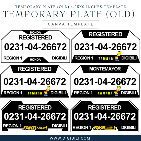 TEMPORARY PLATE (OLD) 4.25X9 INCHES TEMPLATE - Image 2